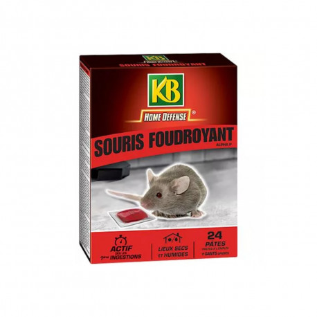 Souris foudroyant pâtes KB Home Defense - 24 pâtes