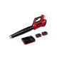 Pack EINHELL 36V Power X-Change - Souffleur GE-LB 36/210 Li E - 2 Batteries 4.0Ah - Twincharger