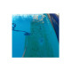 Pack nettoyage MAREVA pour piscine - Balai Bendervac - Manche télescopique