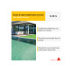 Complément d'imperméabilisation pour piscine SIKA Enduit Piscine - Blanc écume - Kit 18,48kg