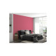 Peinture acrylique lessivable velours BARBOUILLE - Pour murs et plafonds - 2,5L - Rose Ex fan des 60’s