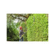 Taille-haies RYOBI 36V Max Power - 50cm - Sans batterie ni chargeur - RY36PHT50A-0