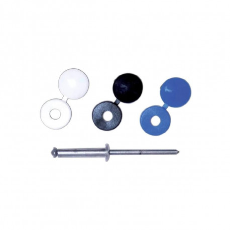 Lot de 30 rivets et 30 capuchons GOSTAR TRS standard DEGOMETAL - 4 x 16 mm