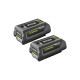 Lot de 2 batteries Lithium+ 36V RYOBI - 4.0Ah - RY36B40B