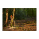 Tronçonneuse Brushless 36V RYOBI - chaîne 35 cm - Batterie 4,0Ah et chargeur - RY36CSX35A-140
