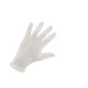 Gants coton blanc Taille XL/10 EP 4150