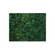 Treillis feuilles de vigne vierge JET7GARDEN 1,00x2,00m - vert