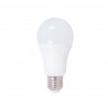 Ampoule LED XXCELL Standard - E27 équivalent 100W