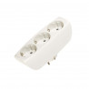 Bloc 3 prises 250 V R40043