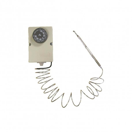 Sonde Hors gel - Pour piscine - Manuelle