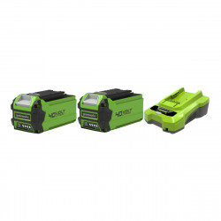 Pack GREENWORKS 40V - 2 batteries 2,0Ah Lithium-ion - 1 Chargeur