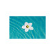 Fleur absorbante de corps gras Lily Water MAREVA pour piscine - 672003