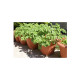 Kit pour plantation en pots TERRETERRE