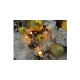 Guirlande lumineuse EDM - esprit de Noël - 2,5m - lumière chaude - 10 ampoules LED - 71311