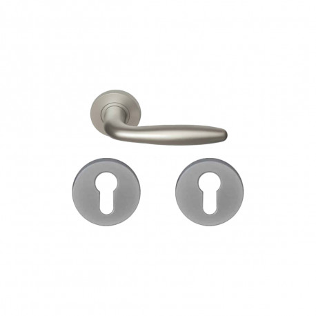 Pack poignée et Paire de rosace Aluminium - Finition Argent