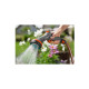 Pistolet-arrosoir pour plantes sensibles GARDENA - Comfort - 18321-20
