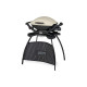 Barbecue Weber - à gaz - Q2000 - avec pied - Titanium