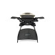 Barbecue Weber - à gaz - Q2000 - avec pied - Titanium