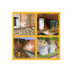 Pack Traitement et Protection SIKA - Sikagard-120 Stop Vert 20L - Sikagard-221 Protecteur Facade 20L