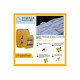 Pack Traitement et Protection SIKA - Sikagard 130 Stop Algues Pro 5L - Sikagard 790 All-in-one 5L